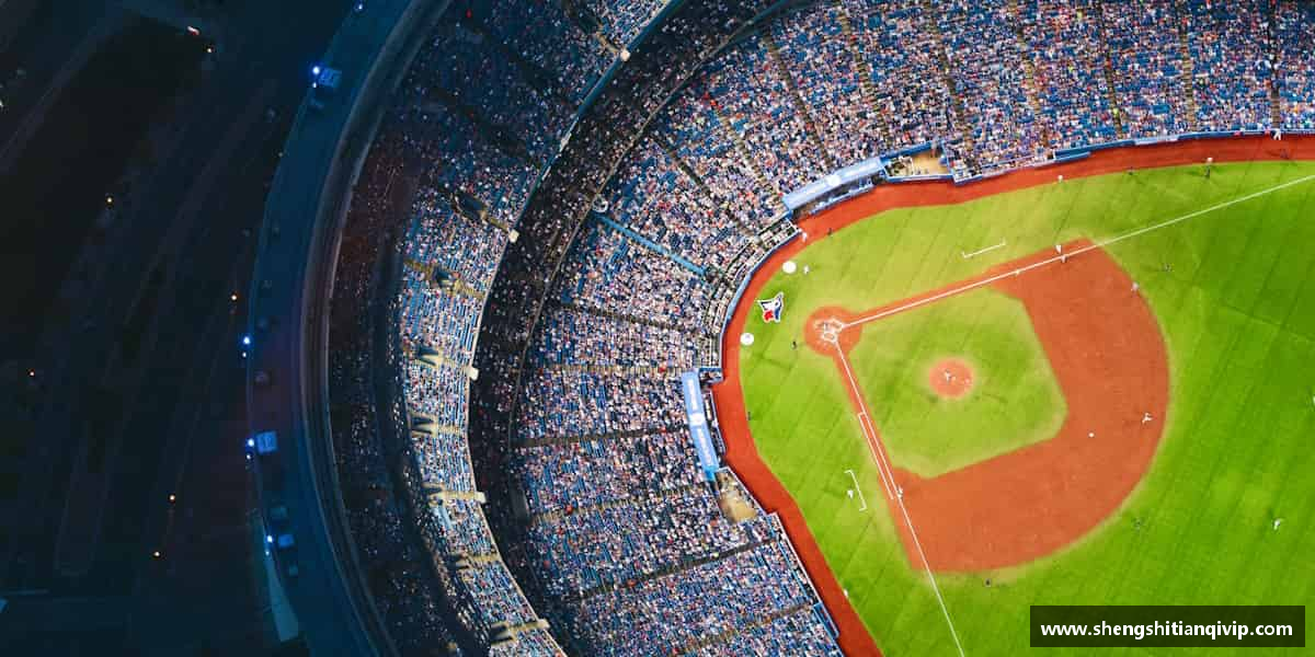 认识bsports必一运动